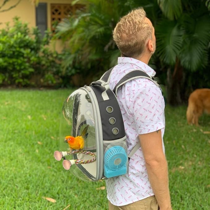 Bird Traval Carrier Cage, Vet Transport School Bag - Image 6
