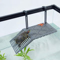 Compact Hanging Turtle Basking Platform with Built-in Food Tray