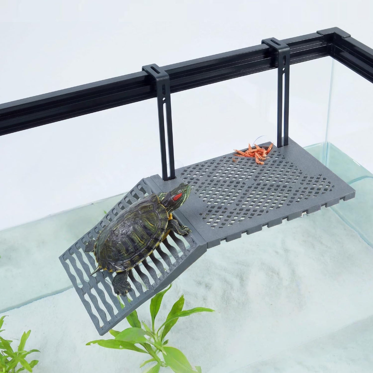 Compact Hanging Turtle Basking Platform with Built-in Food Tray