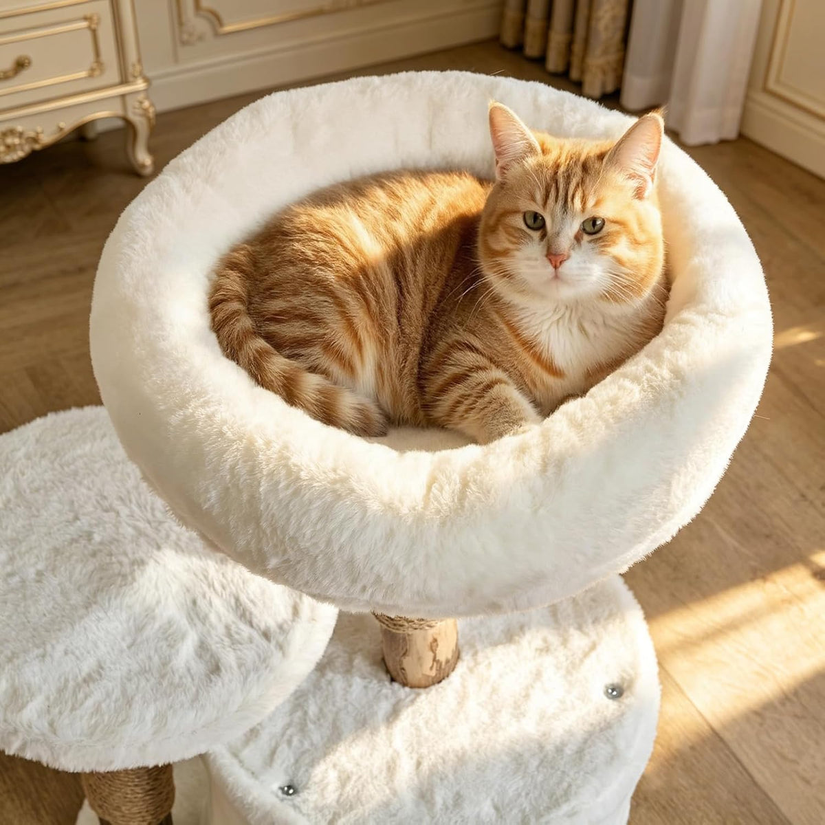 YOCAN 25" Tall Mini Cat Tree with Scratching Post for Small Cats, 2-Tier