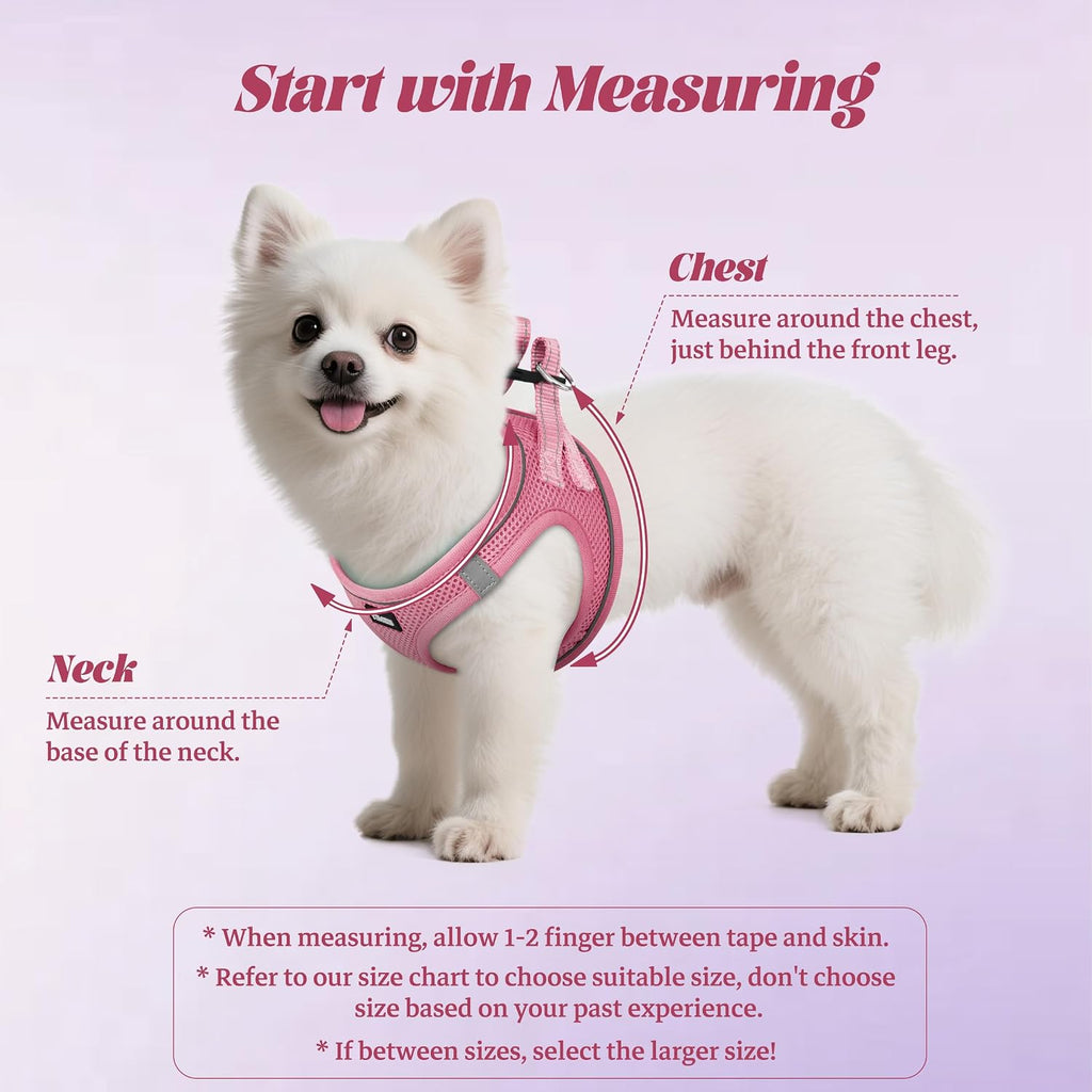 YIMEIS Dog Harness and Leash Set, No Pull Soft Mesh Pet Harness, Reflective Adjustable Puppy Vest for Small Medium Large Dogs, Cats (Pink, Medium)