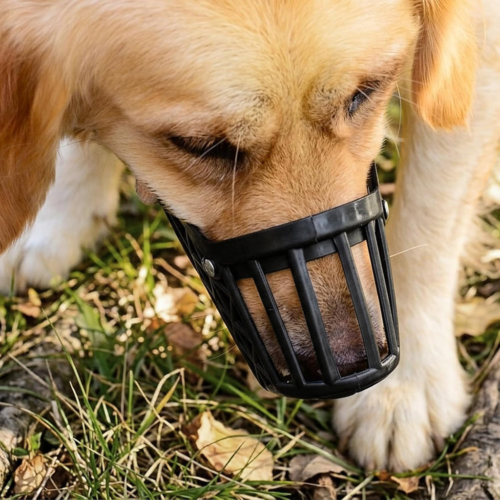 7PCS Dog Basket Muzzle Set, Anti Biting Barking Chewing Licking Scavenging, Adjustable Breathable Muzzles Kit, Comfortable Pet Mouth Care Cover Mesh Cage for Small, Medium, Large & Extra Dogs
