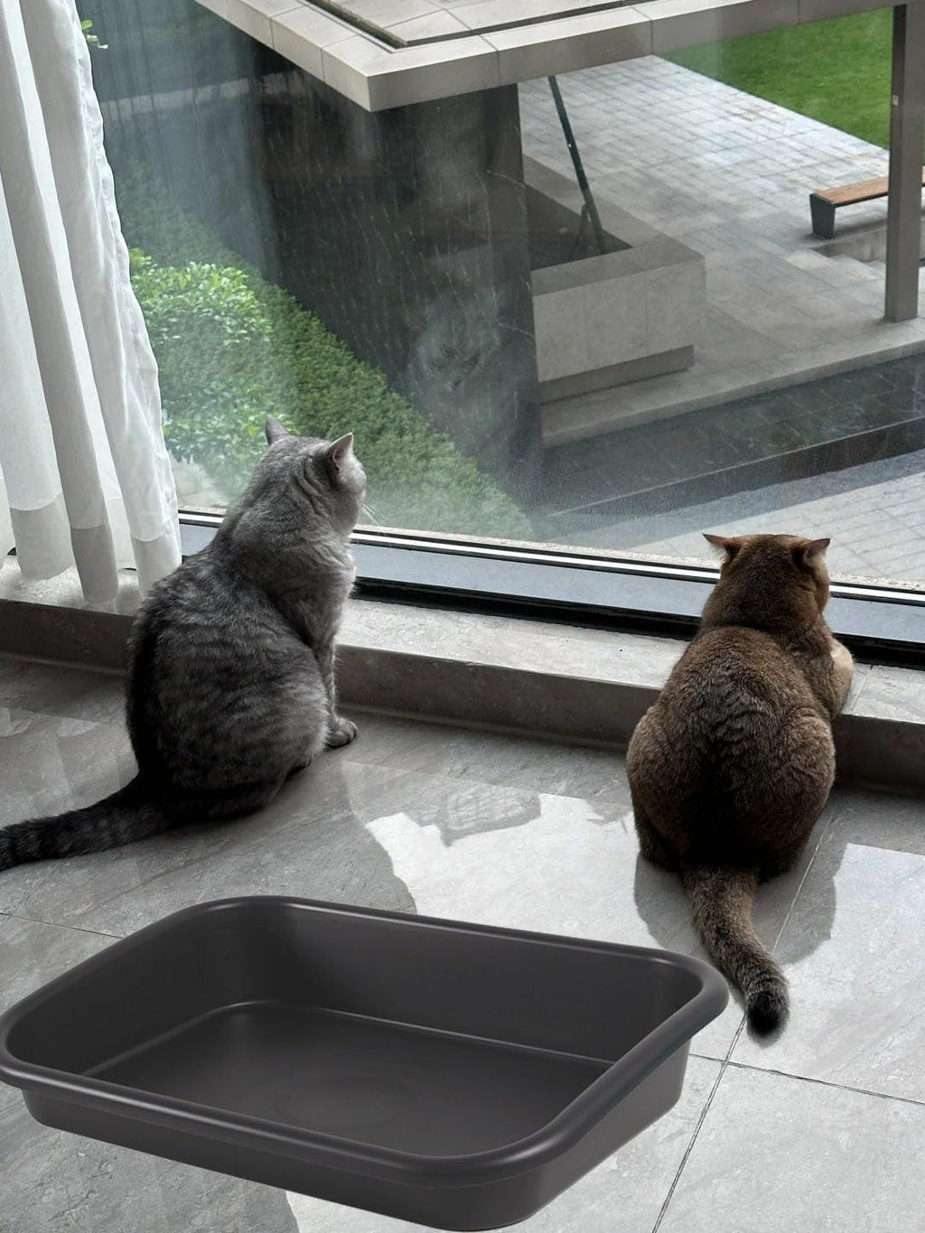 Extra Large Litter Box with High Sides 23.23" Lx16.54 Wx4.33 H, ABS Low Entry Senior Litter Pen Jumbo Pet Safe Litter Boxes Tray for Kittens to Senior Cat, Elderly and Fat Cat (Black)