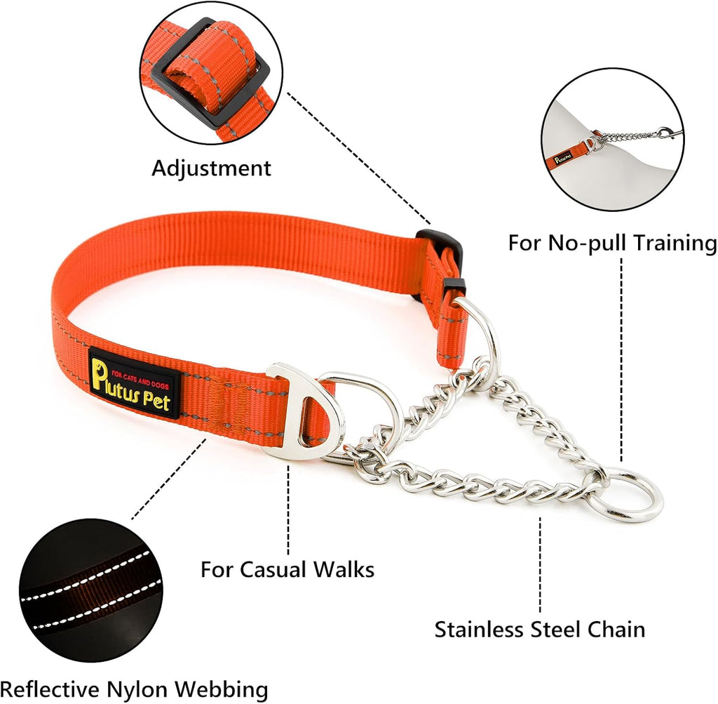 Plutus Pet Martingale Dog Collar with Stainless Steel Chain, Orange, L