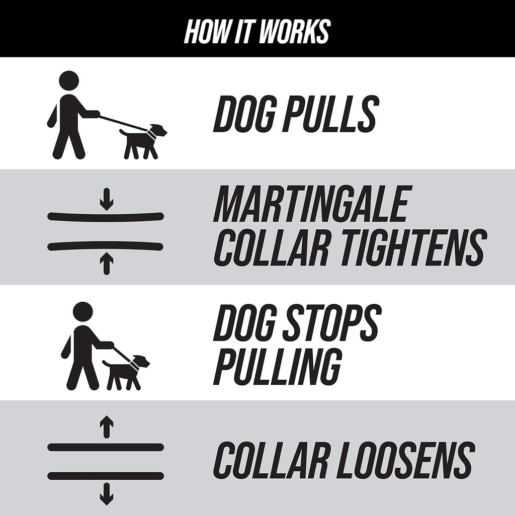 Leash Boss Martingale Collar for Dogs | Reflective Nylon Dog Collar for Large Dogs, Medium and Small Dogs | No Pull Pet Training Collar | Quick Release Buckle, Adjustable Pet Collar