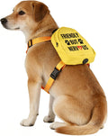 Nervous Dog Backpack Friendly But Nervous Pet Travel Bag for Dogs Social Distancing Gift (Friendly But Nervous)