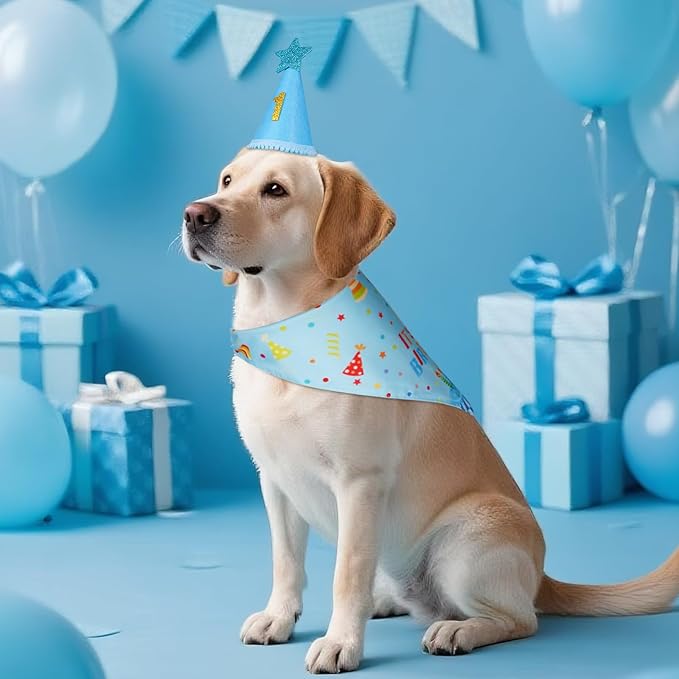 Dog Birthday Party Supplies - Image 7