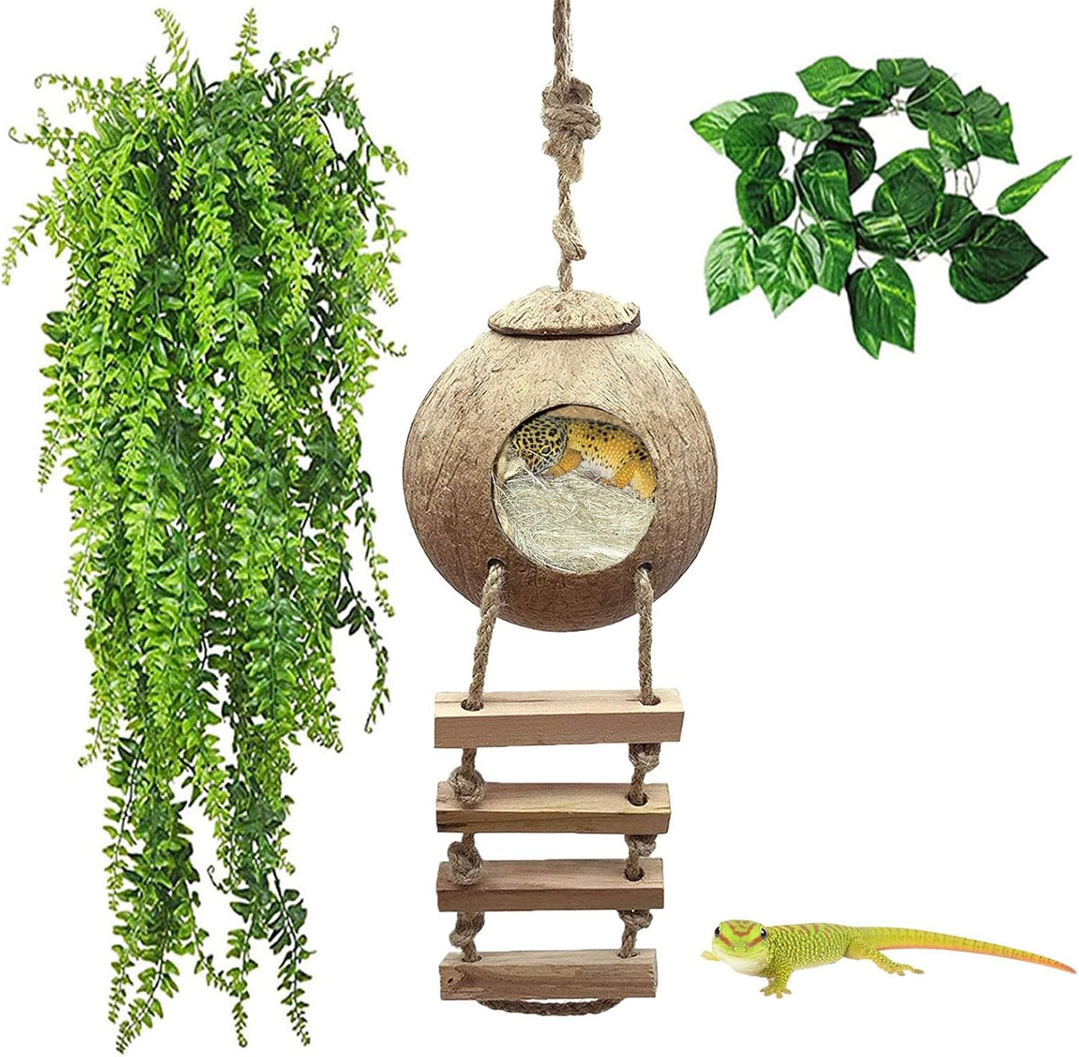 kathson Gecko Coco Hut Lizard Coconut Hide Cave Natural Coconuts Husk Reptile Hanging Nest Habitat Decor Bearded Dragon Terrarium Accessories for Crested Gecko Chameleon Snake Spider (4 PCS)