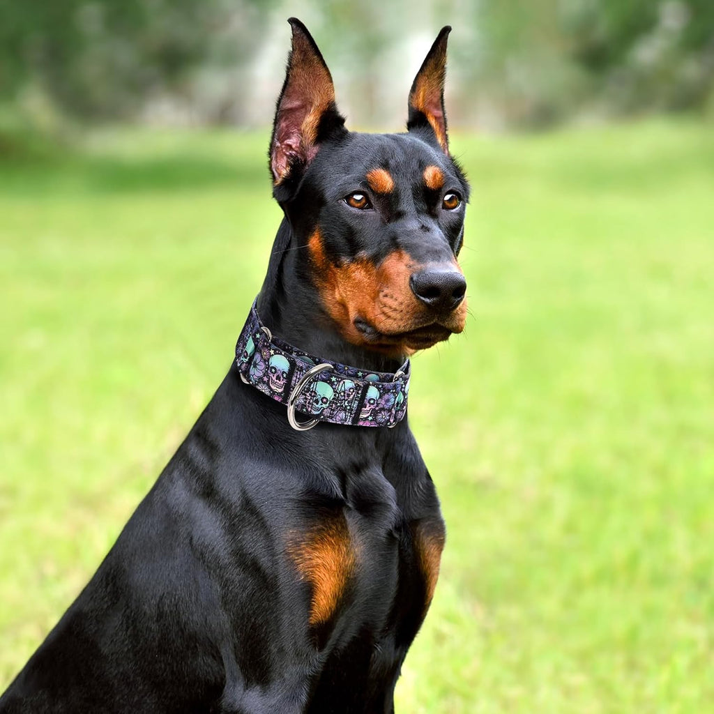 1.5 inch Skulls Martingale Collar for Dogs,Training Collar for Large Dogs