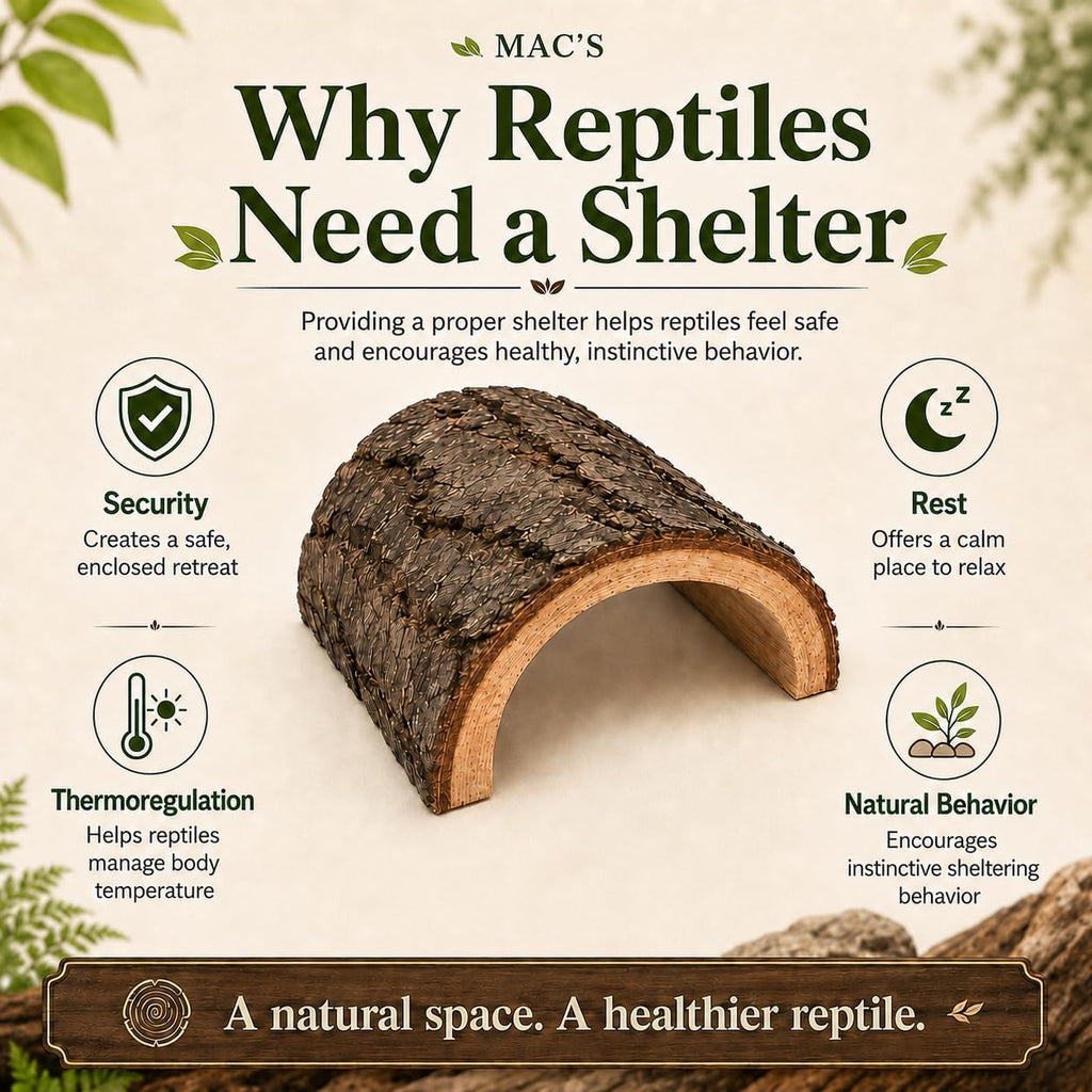 MAC'S Reptile Hideout Half Log, Extra Large - Natural Wooden Hide for Reptiles, Amphibians & Small Animals - Made in USA - Natural Terrarium Shelter for Snakes, Lizards, Geckos, Frogs & More