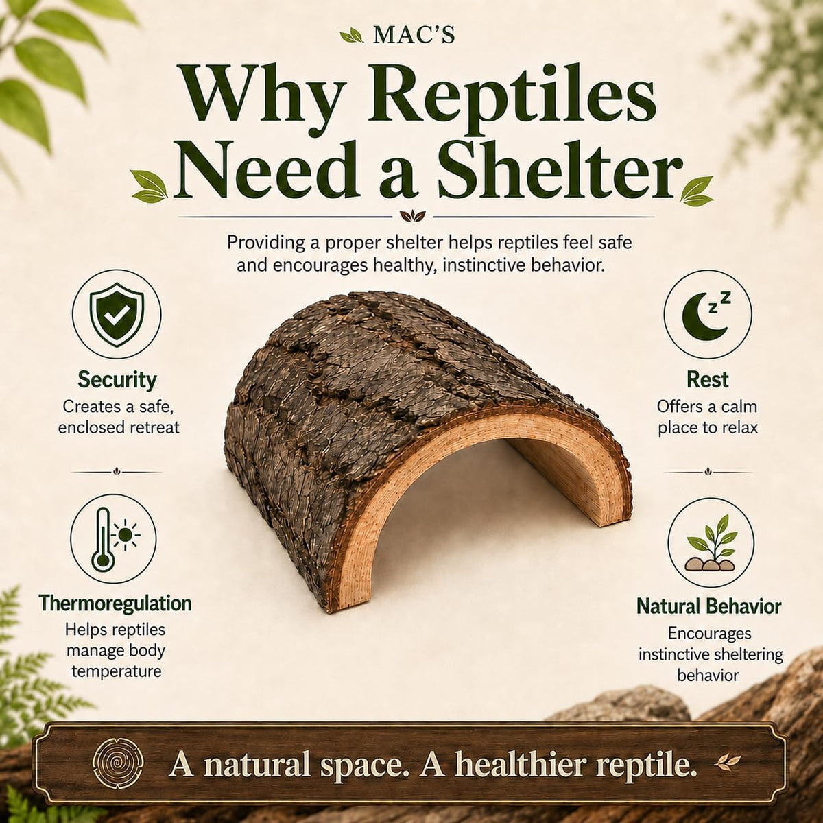 MAC'S Reptile Hideout Half Log, Extra Large - Natural Wooden Hide for Reptiles, Amphibians & Small Animals - Made in USA - Natural Terrarium Shelter for Snakes, Lizards, Geckos, Frogs & More
