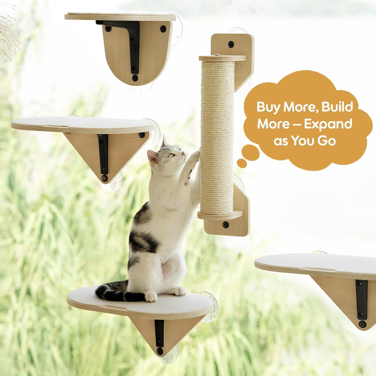 EDAGNY Cat Window Perch Steps for Climbing with Strong Suction Cups,1pcs