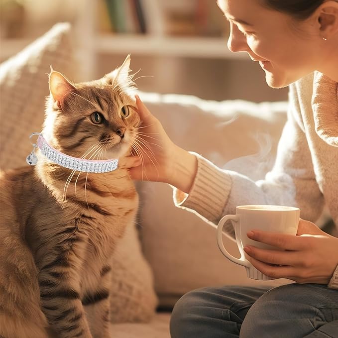 EXPAWLORER Soft Velvet Safe Cat Collars - Image 8