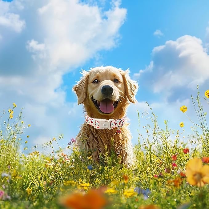 Ladybug Dog Collar for Small Dogs - Image 7