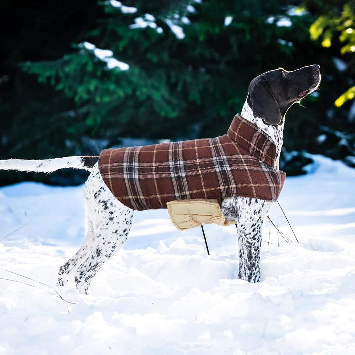 Kuoser Waterproof Dog Coat, Warm Reversible Dog Jacket with Leash Hole