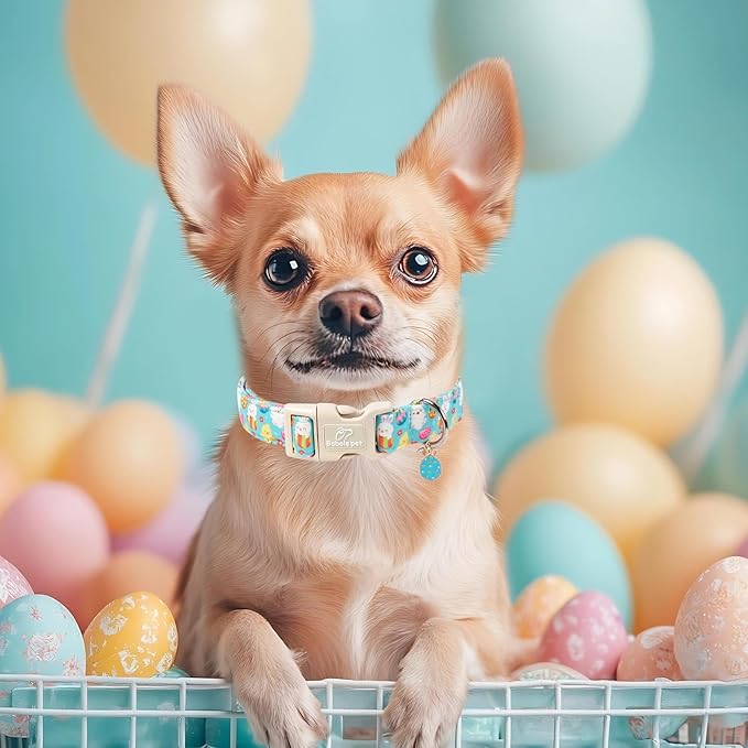 Easter Dog Collar for Giant Large Dogs - Image 2