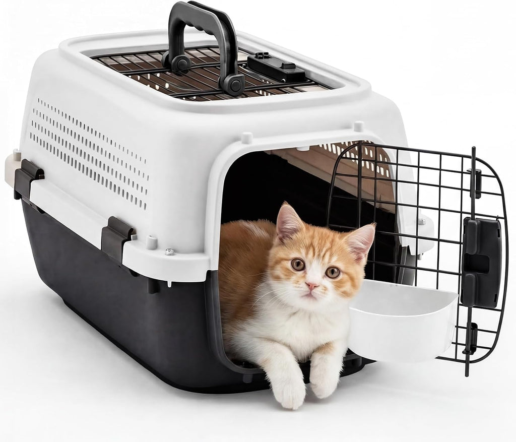 DUMOS 23" Hard-Sided Pet Carrier for Small Pets, 2 Door Cat Carrier - Blue