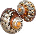 2pcs Hermit Crab Shells Medium, Natural Conch Seashell, Opening 1 Inch