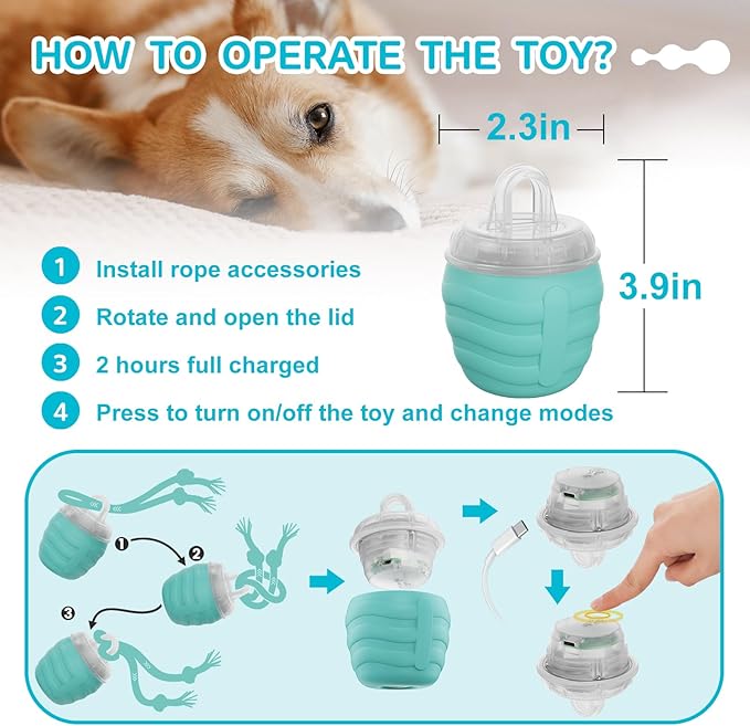 Interactive Dog Toy, Motion Activated Rolling Squeaky Ball - Image 5