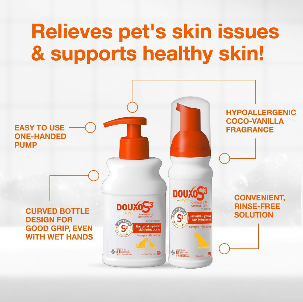 Douxo S3 PYO Chlorhexidine Shampoo (6.7 oz) & Mousse (5 fl oz) for Dogs