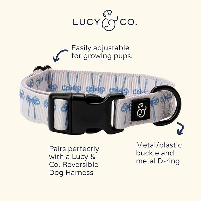 Lucy & Co. Dog Collar - Image 5