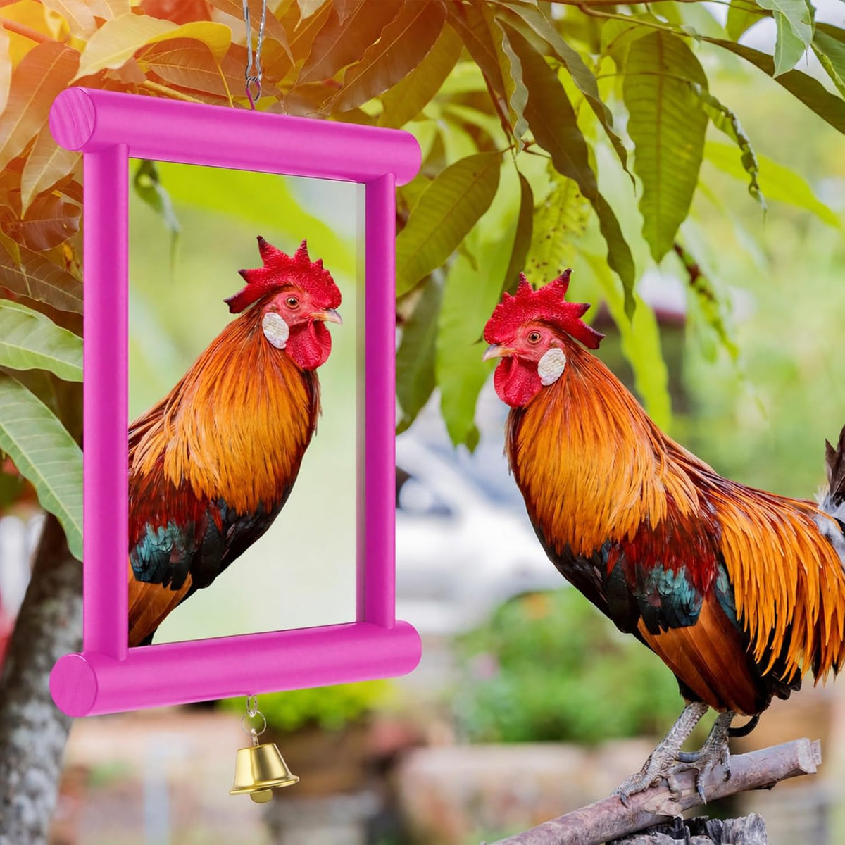 Sadnyy Extra Large Chicken Mirror Toy for Coop Square Double Side Mirror