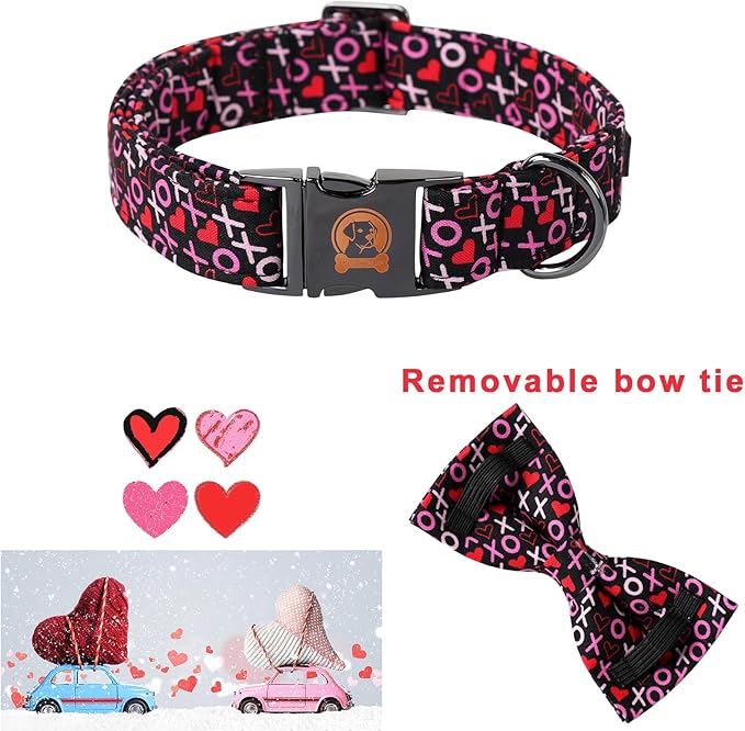 MR. CHUBBYFACE Valentine's Dog Collar - Image 2