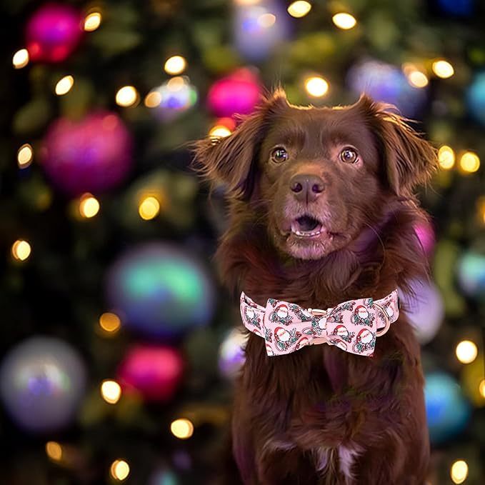 Christmas Dog Collar - Image 5