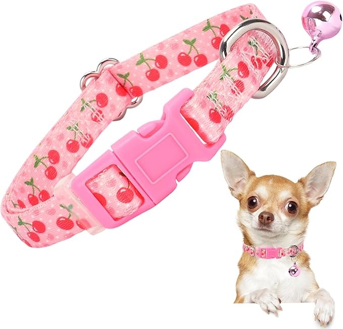 Small Dog Collar with Bell by ONEFOJOJO
