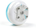 Magnetic Hamster Wheel 7 Inch, Silent Exercise Wheel with No-Drill Magnetic Mount for Wire Cages, Acrylic Cages and Thin Glass Tanks 5101-6