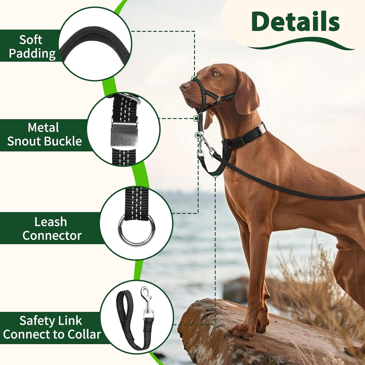 BARKLESS No Pull Head Collar for Medium Large Dogs, Sturdy Head Halter