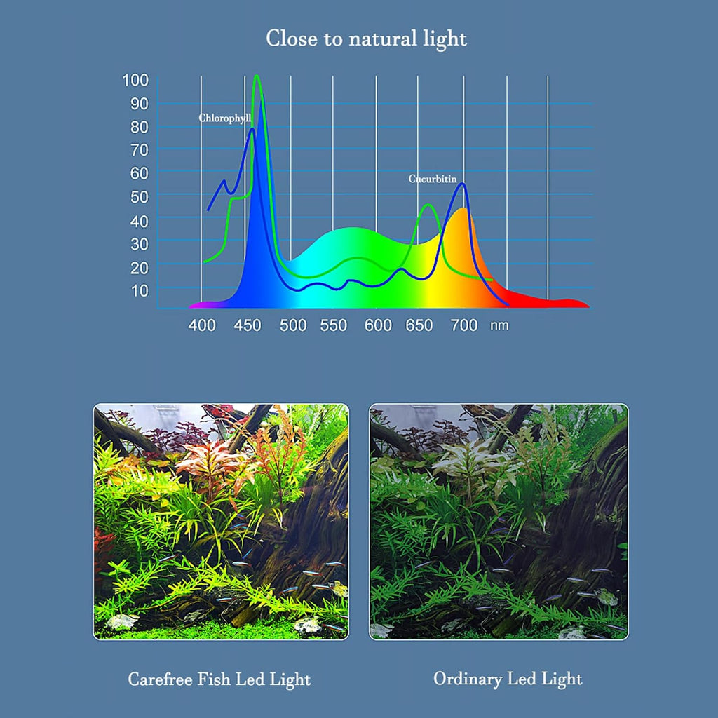 Carefree Fish Aquarium LED Light USB 5V1A RGBW 5730 Timmer 1~10Gal Fish Tank Clip Light 10 Brightness Levels 8W with USB Port (Include UL Certification Power Adapter)