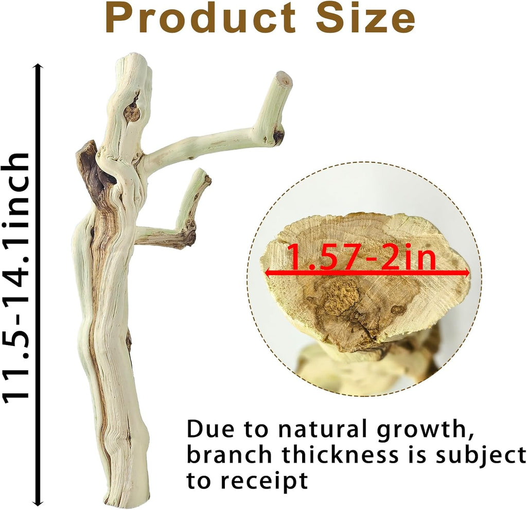 BNOSDM Reptile Branches, 11.5-14.1inch Snake Climbing Branch, Terrarium Wood Branch Decor, Bearded Dragon Tank Climbing Accessories for Lizard, Gecko, Frog,Chameleon