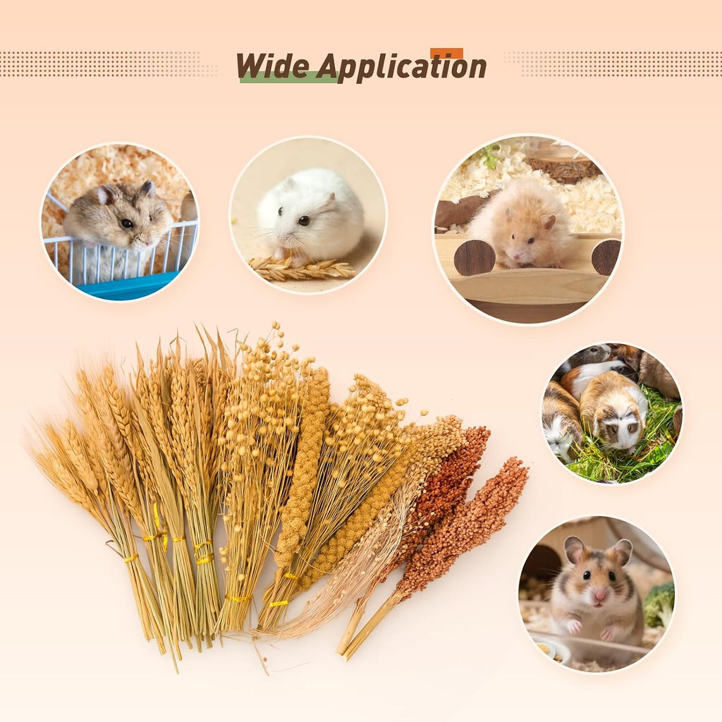 YeCheerful Hamster Sprays and Forage Accessories for Cages, Pet Mouse Decor Textures (7)
