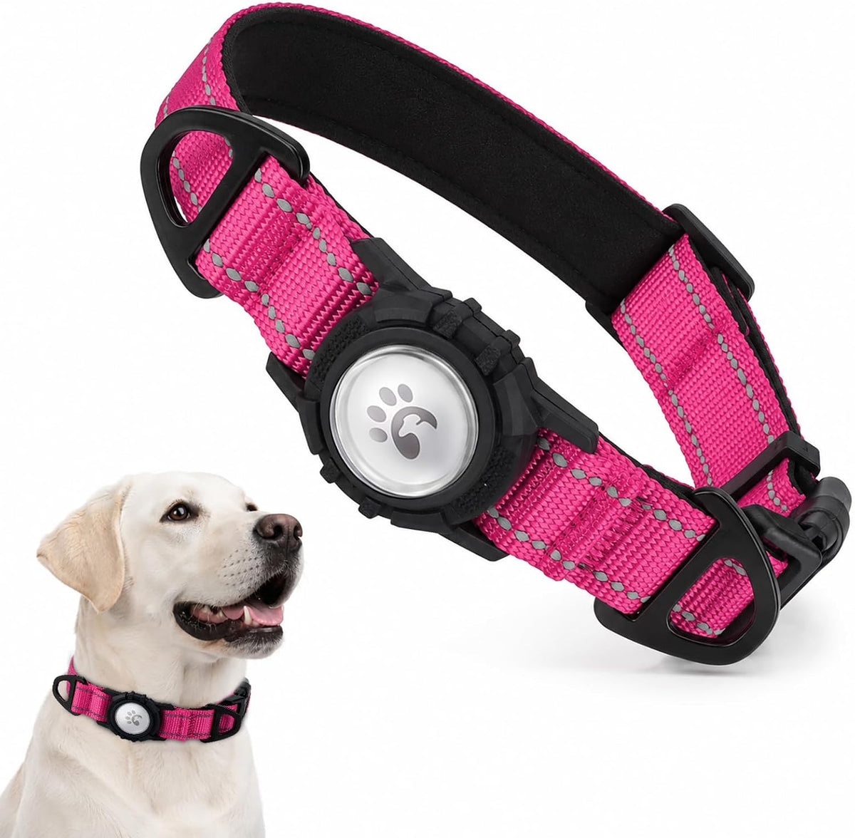 Padded Dog Collar with Waterproof Holder Compatible with Airtag
