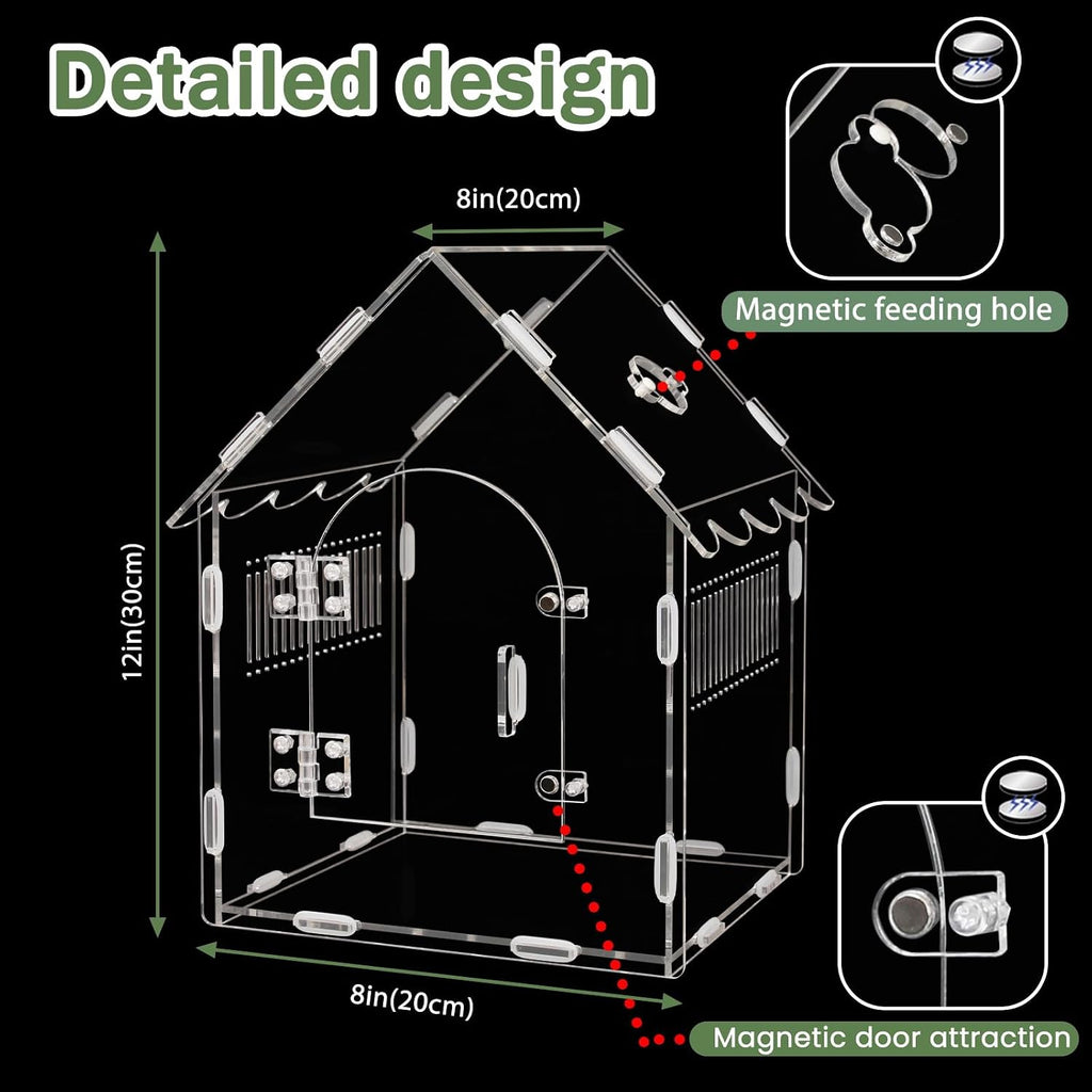 Acrylic Jumping Spider Enclosure 8x8x12 with Magnetic Lock