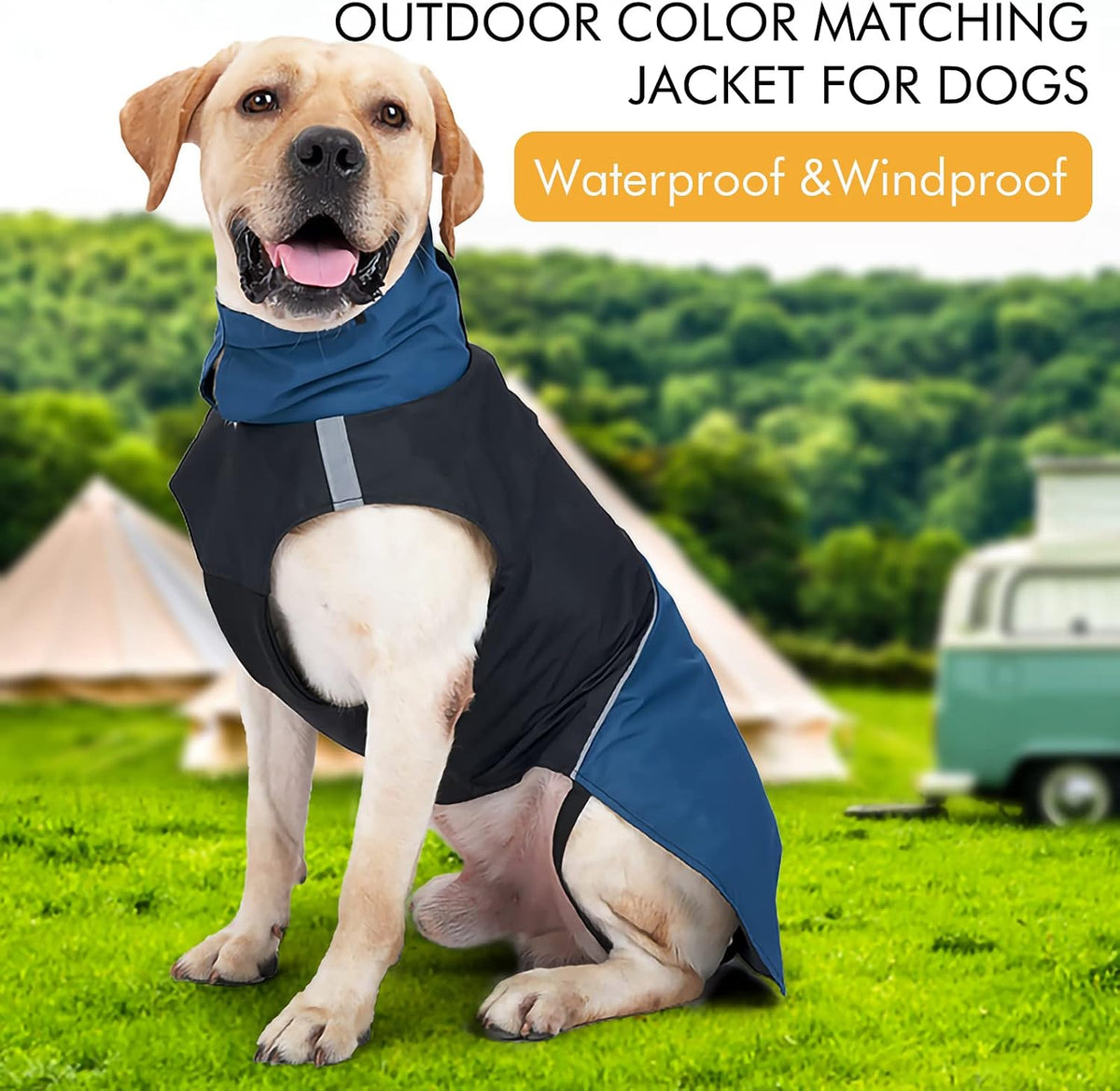 Dog Warm Coats - Windproof Dog Winter Outdoor Jackets Cold Weather Coats for Dog Waterproof Dog Raincoats with Hole for Dog Leash,BY L
