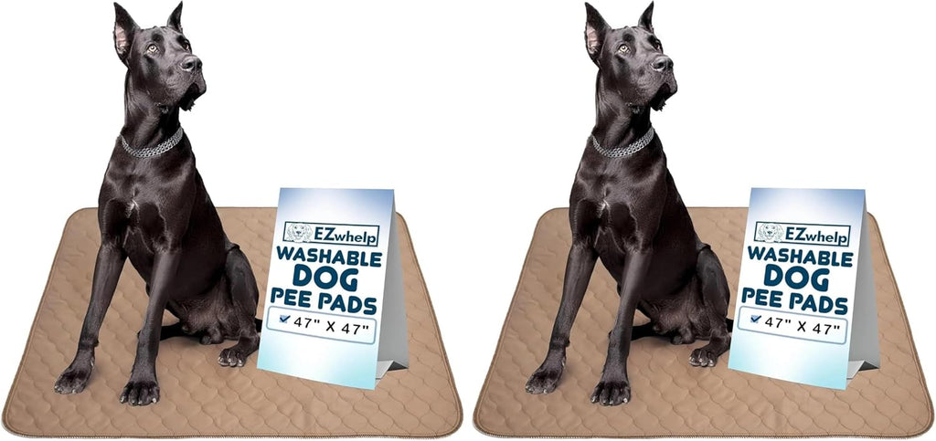 EZwhelp Reusable Dog Pee Pad, Waterproof Mat 41x41 in w/Grommets, 1 Pack