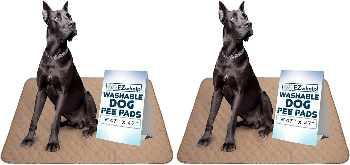 EZwhelp Reusable Dog Pee Pad, Waterproof Mat 41x41 in w/Grommets, 1 Pack