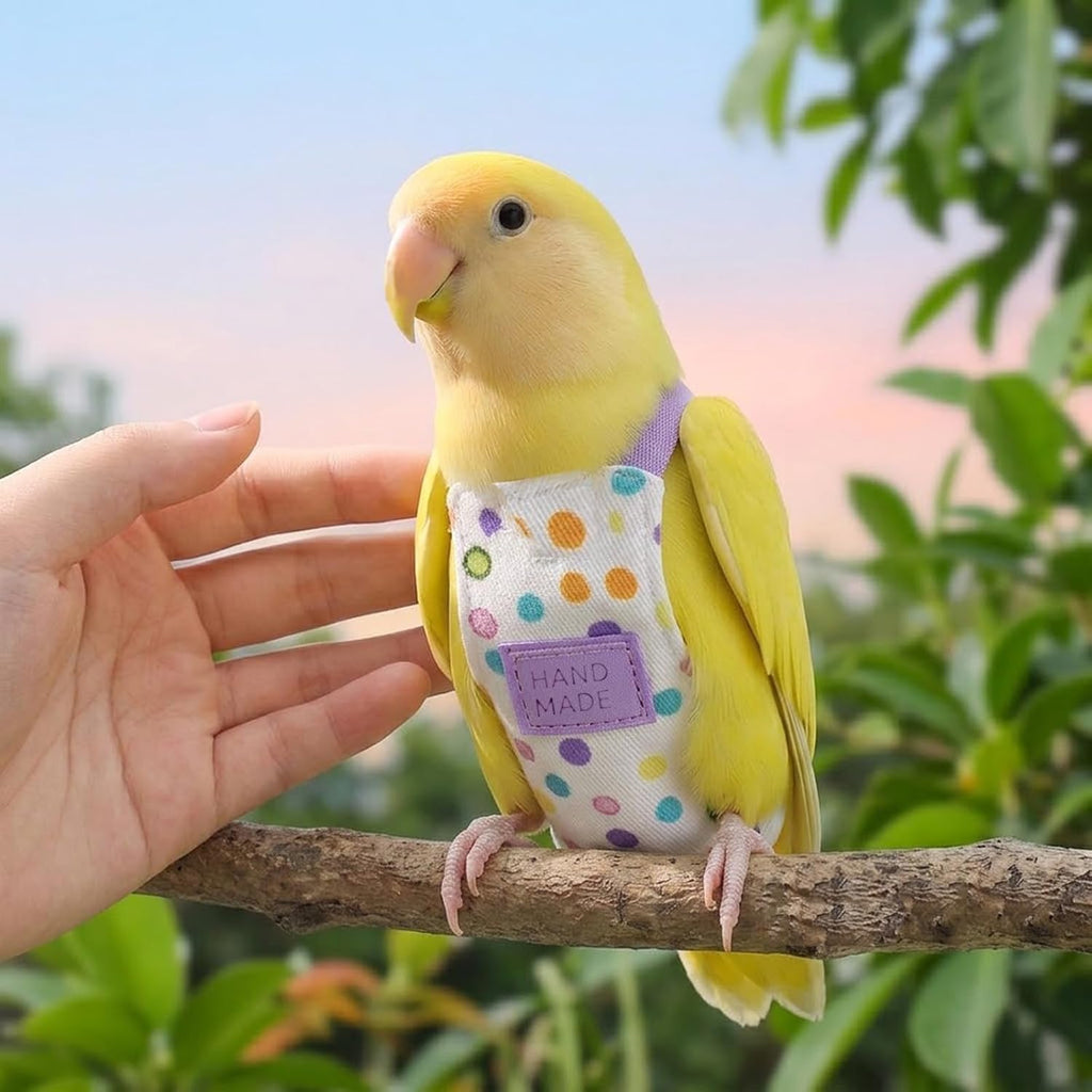 2 Pack Parrot Harness and Leash - Adjustable Bird Flight Vest