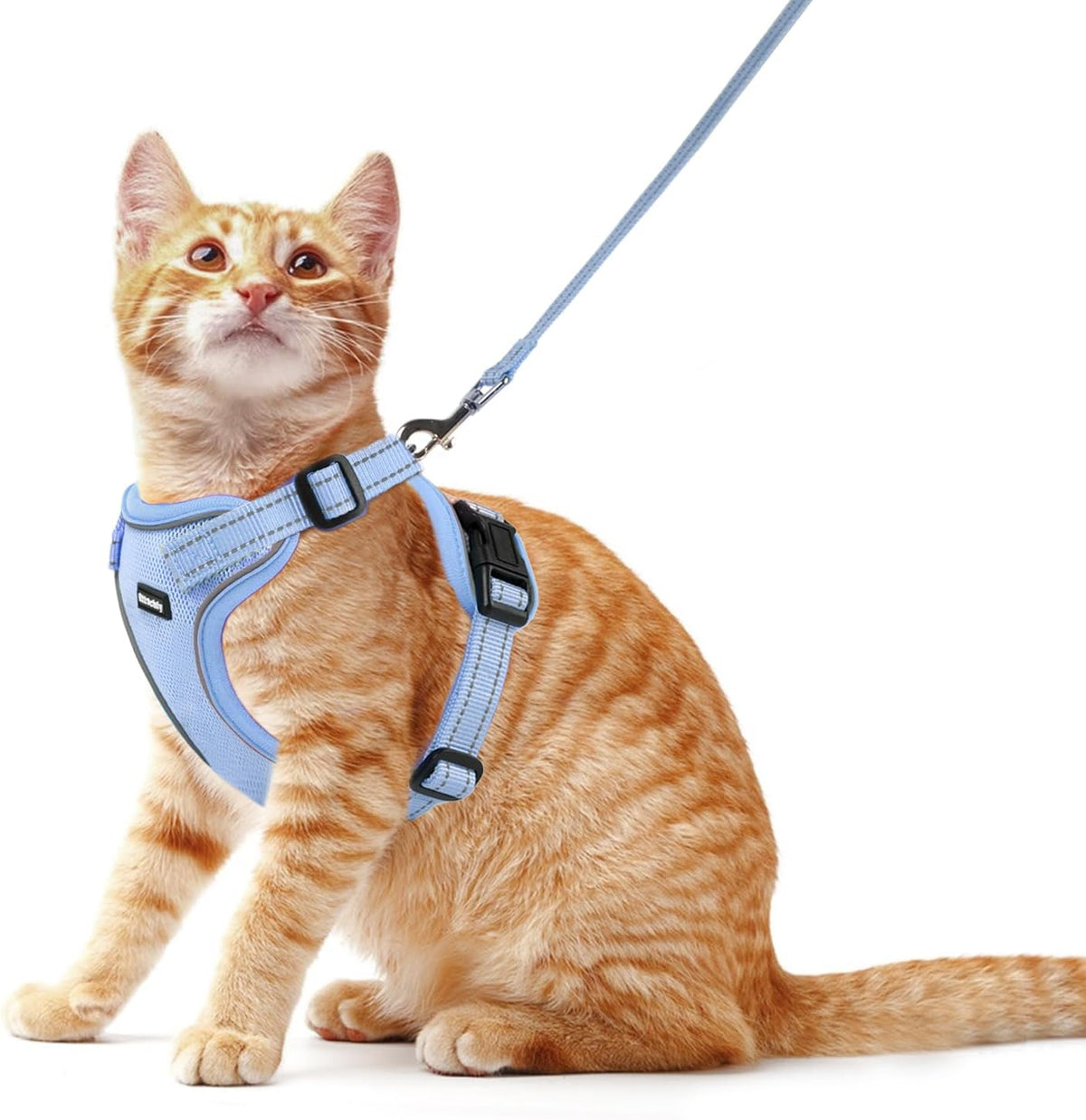 Cat Harness and Leash Set, Escape Proof Cat Harness with Reflective Strips, Breathable Mesh Vest, Adjustable Walking Harness for Indoor Outdoor Cats, Kittens, Small Medium Large Cats (Green, M)