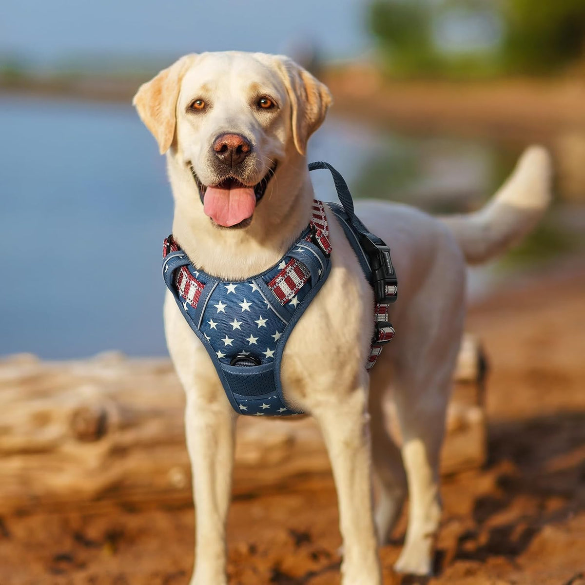 rabbitgoo Dog Harness, No Pull for Large Dogs with 2 Leash Clips, Pet Vest