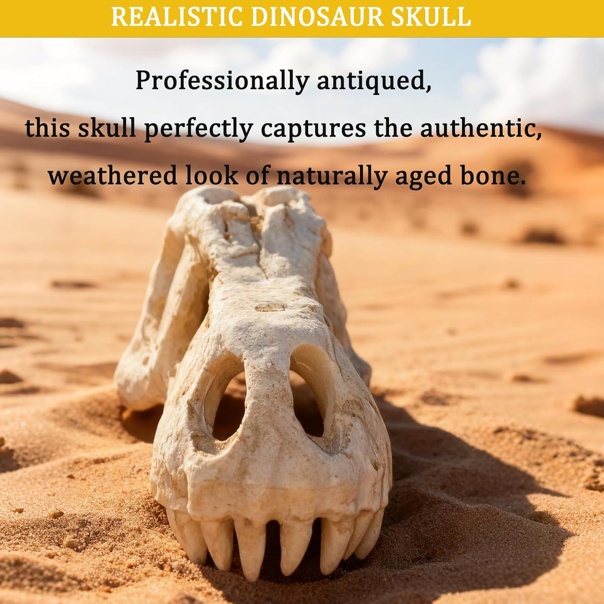 Dinosaur Skull Reptile Basking Platform, Resin Fish Tank & Terrarium Decor for Bearded Dragons, Lizards, Geckos - Aquarium Decor, Tarantula Hide Cave
