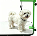 Iron Dog Grooming Arm with Clamp, Adjustable 25-47", Small/Medium