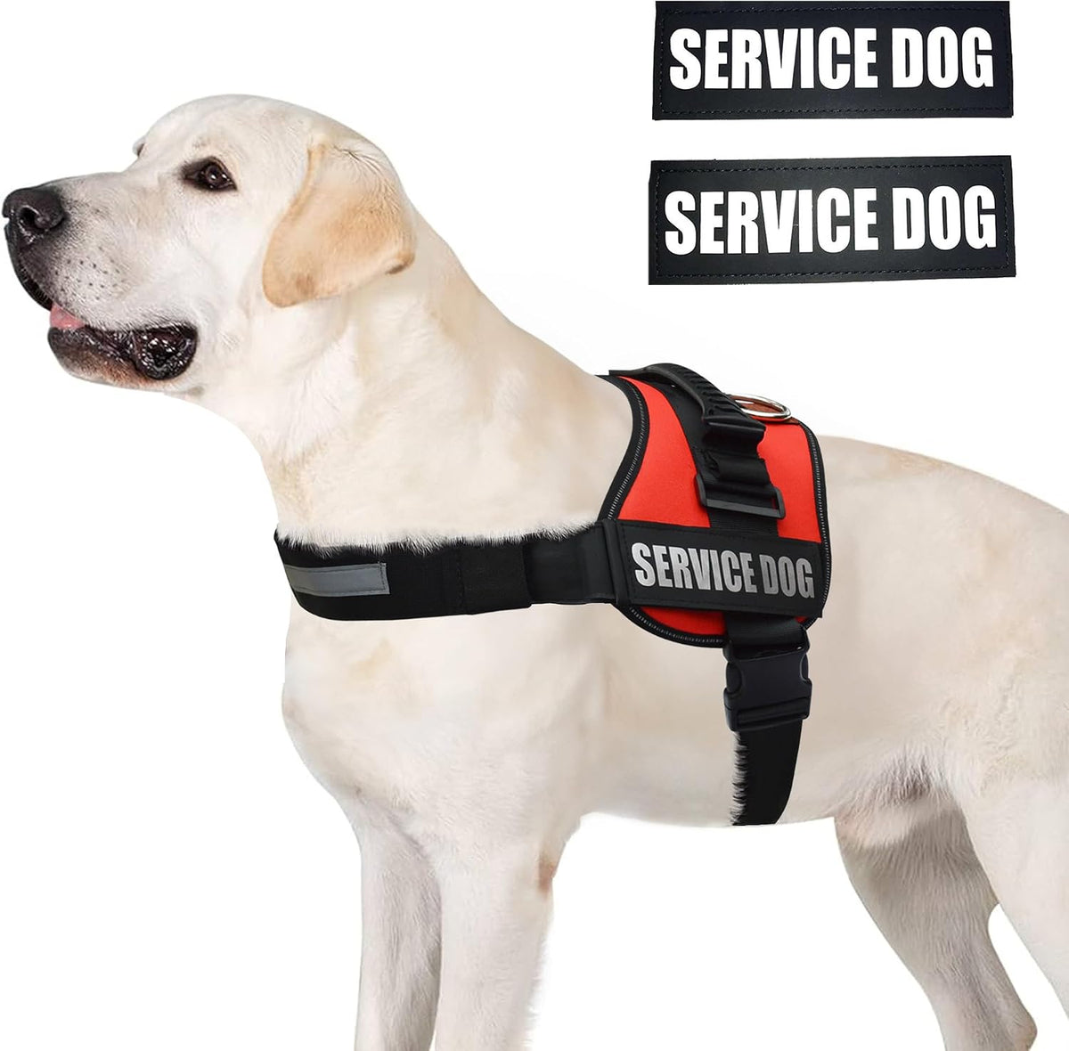 ALBCORP Service Dog Vest Harness, Reflective, Red, XL