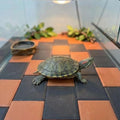 20pcs Turtle Basking Rock, Turtle Tank Decorative Stone, 2.36×1.57×0.2 Inches.Temperature Regulating Platform for Feeding, Basking and Nail Grinding, Ideal for Reptiles and Amphibians (Red)