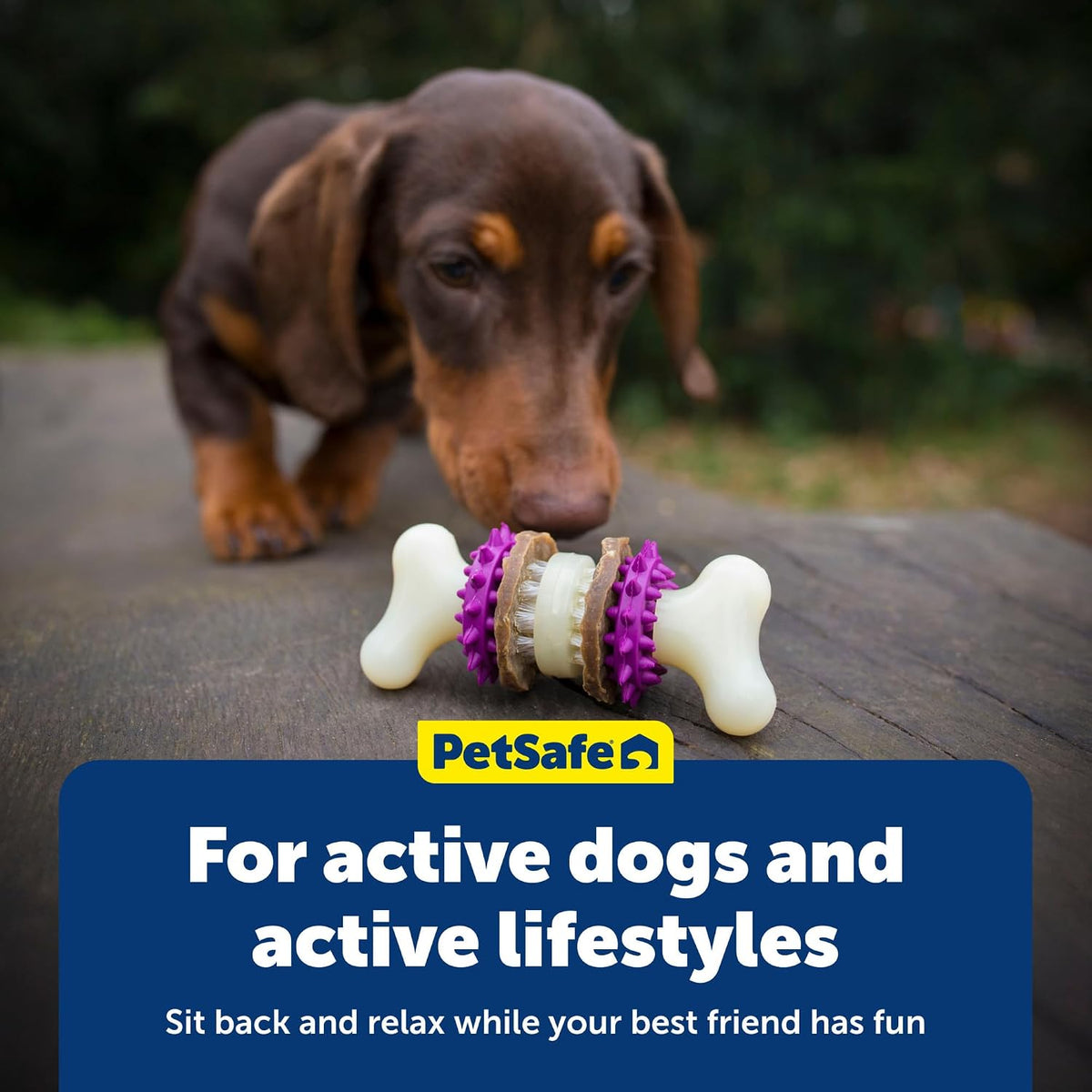 PetSafe Busy Buddy Bristle Bone Dog Treat Holding Chew Toy, Medium