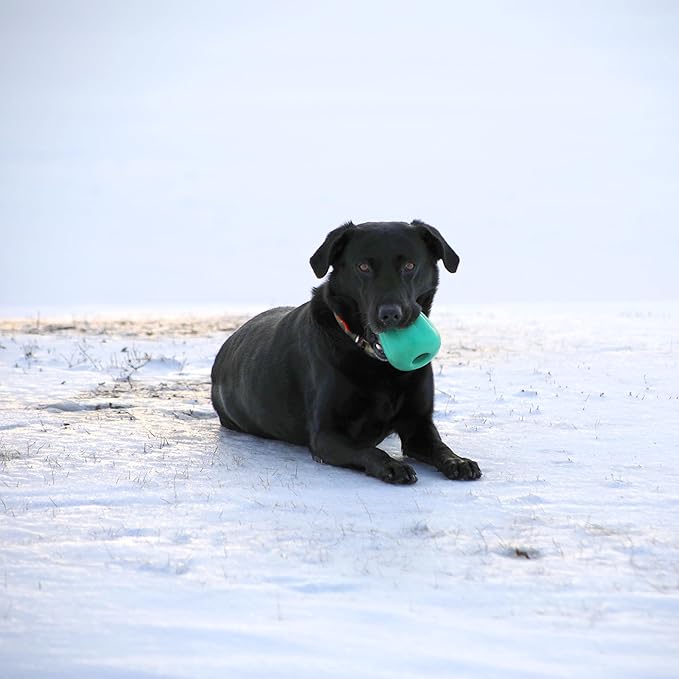 Chew King by Mammoth Premium Treat Dispensing Dog Toy, Durable Natural Rubber - Image 2
