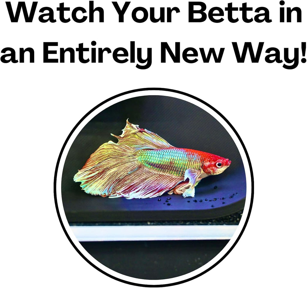 Betta Underground Tunnel Hideout Cave - Aquarium Hide For Small Fish And Shrimp, Viewing Rest Hammock Enrichment Toy, Tank Accessories Supplies Decorations Ornaments