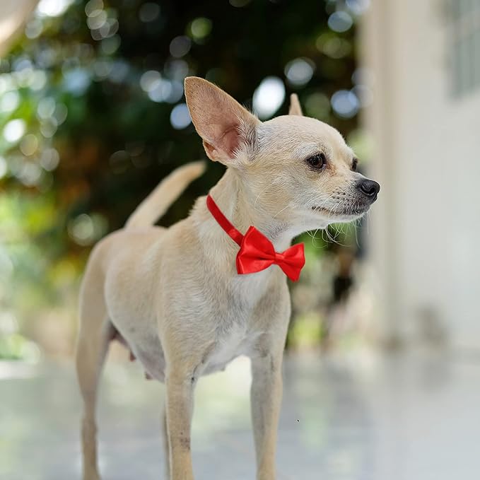 KOOLMOX Red Bow Tie for Dogs, Dog Bowtie Formal - Image 2